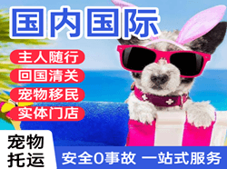 尧都航空空运国际宠物托运 【国
